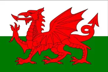 90x150cm com o país de Gales Bandeira Nacional e a bandeira 100% poliéster personalizado brasão de armas, bandeira