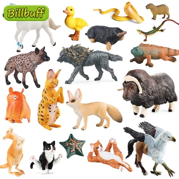 Simulação De Figurinhas, Brinquedos Do Animal De Cognição Zoo Esquilo Cabra EGuinea Porco, Pato, Gato Cobra Koala Bengalcat Figura De Ação Do Modelo Presente